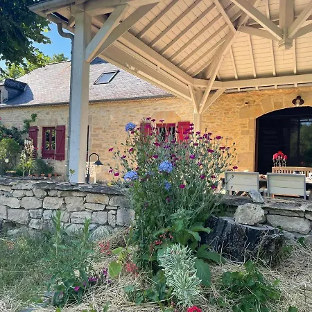 Les Oiseaux De Passage