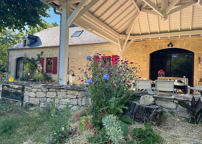 Les Oiseaux De Passage